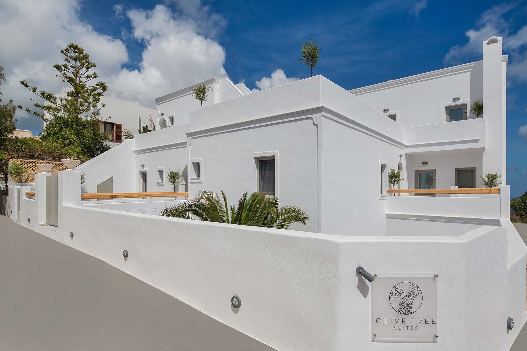 olivetree santorini slider 02