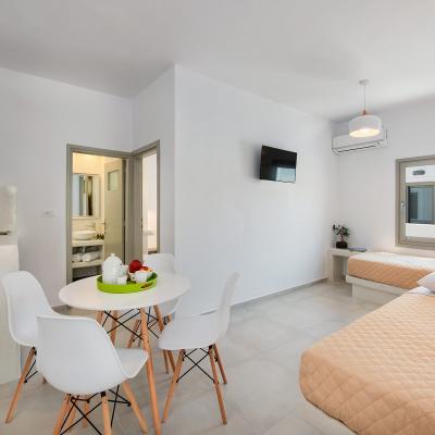 olivetree santorini apartment 5